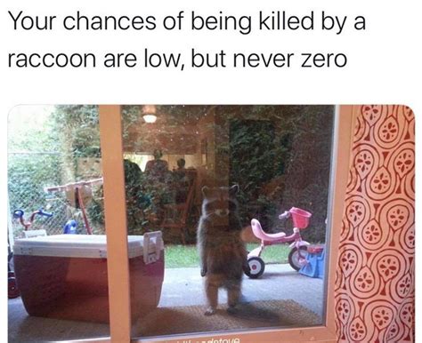 the chances are low but never zero meme